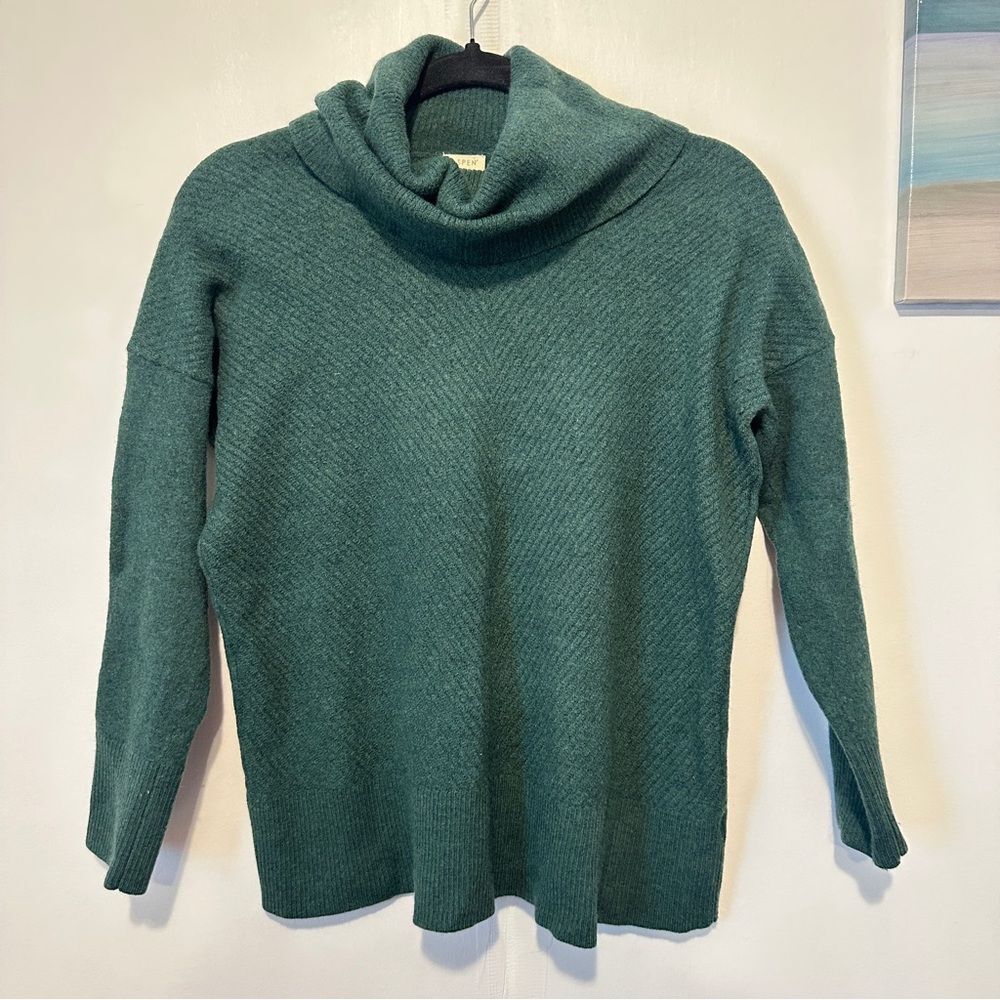 Aspen extraline merino wool sweater cowl neck green sz L